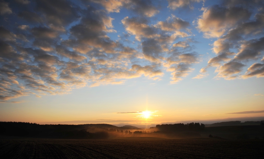 Hochschwarzwald, Nähe Höchenschwand
DSC 7965 web crop