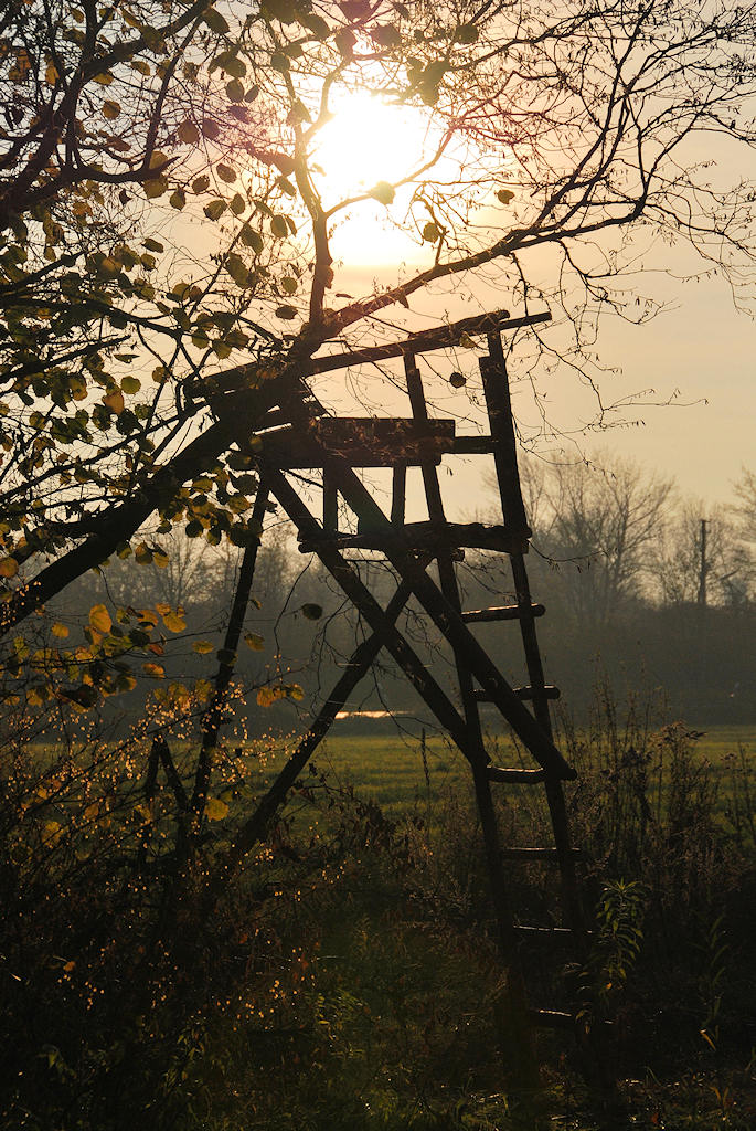 Hochsitz / Jägerstand:
AF-S DX 18-200/3.5-5.6G ED VR, D60, ISO 200, f/8, 1/3200s, 82 mm