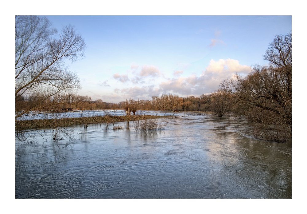 Hochwasser bei Schwülper