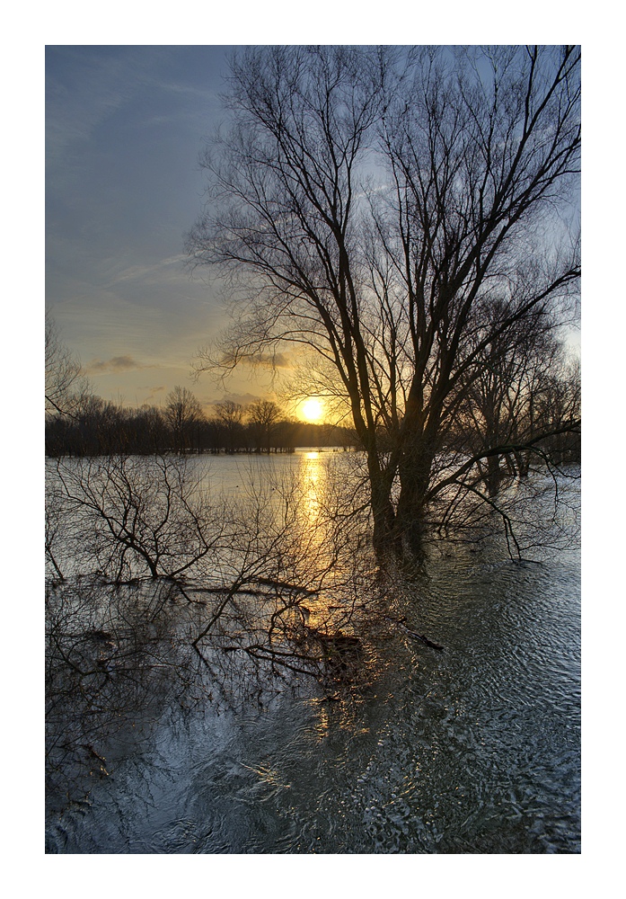 Hochwasser bei Schwülper