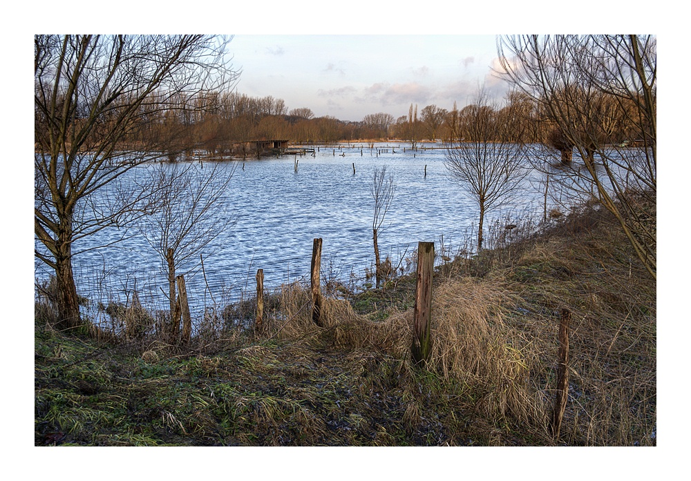 Hochwasser bei Schwülper