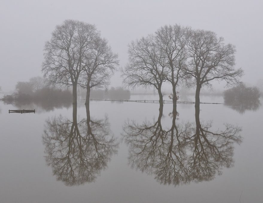 Hochwasser im Nebel