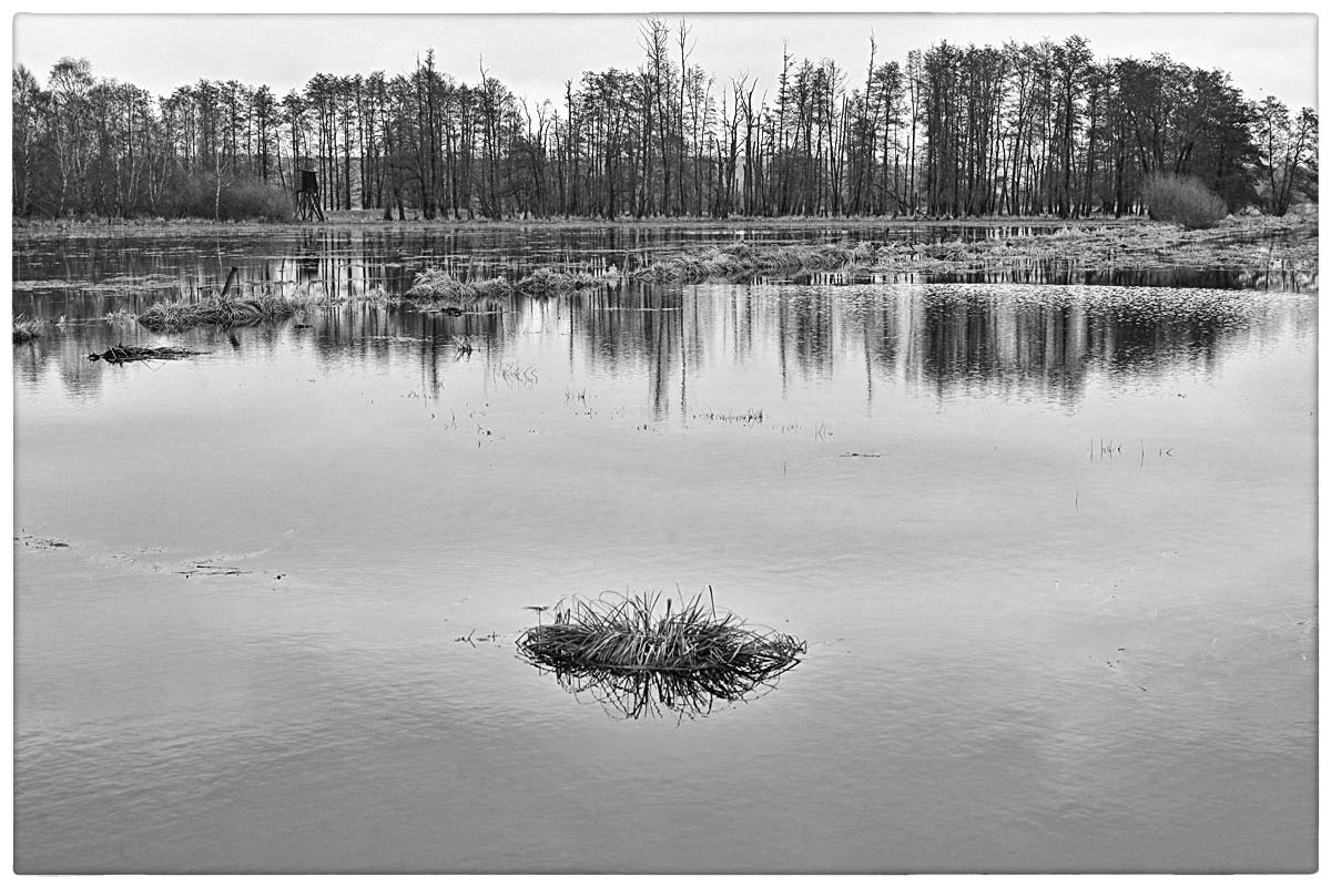 Hochwasser in den Seewiesen 2_BW.jpg