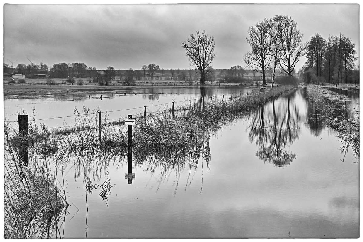Hochwasser in den Seewiesen 4_BW.jpg
