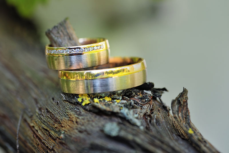 Hochzeit Ambros 1079