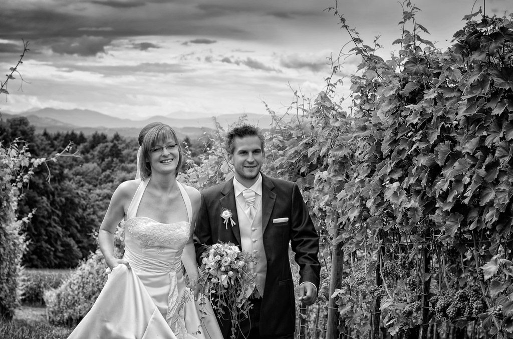Hochzeit im Weingarten