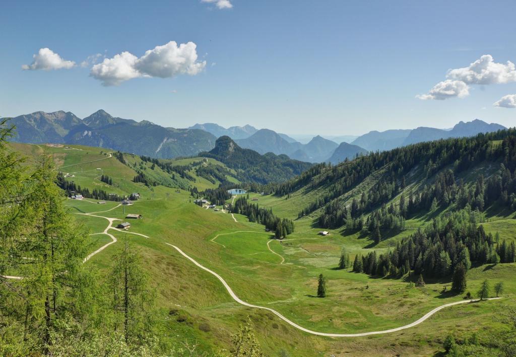 Hofer Alm