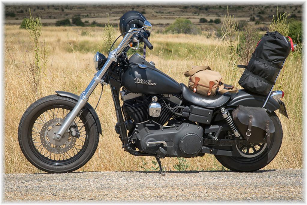 hog
