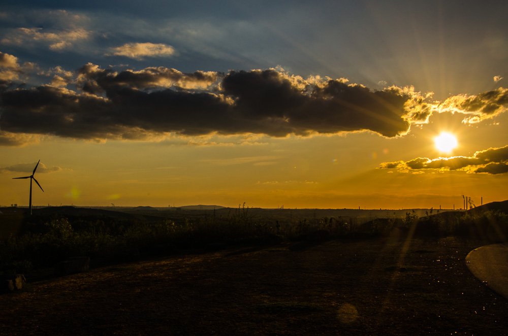 Hohe Ward 0090