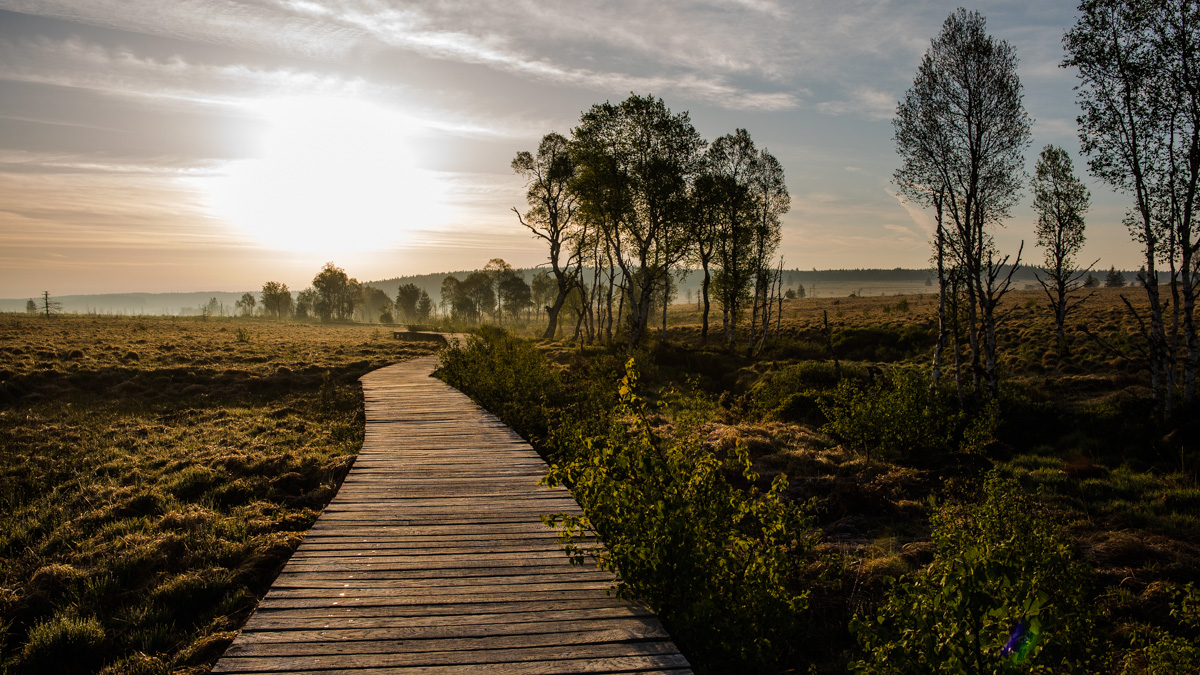 Hohes Venn 10