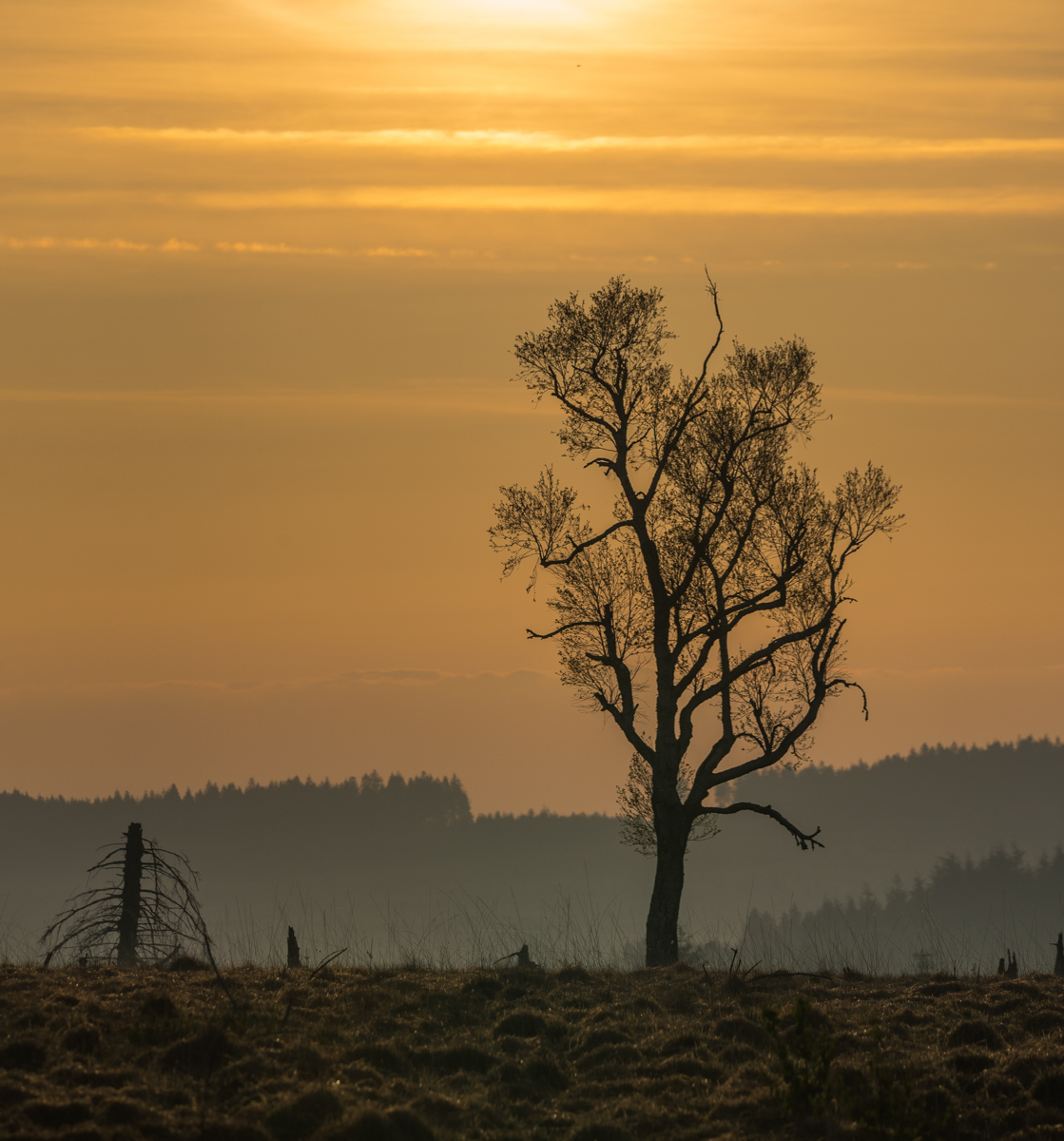 Hohes Venn 9