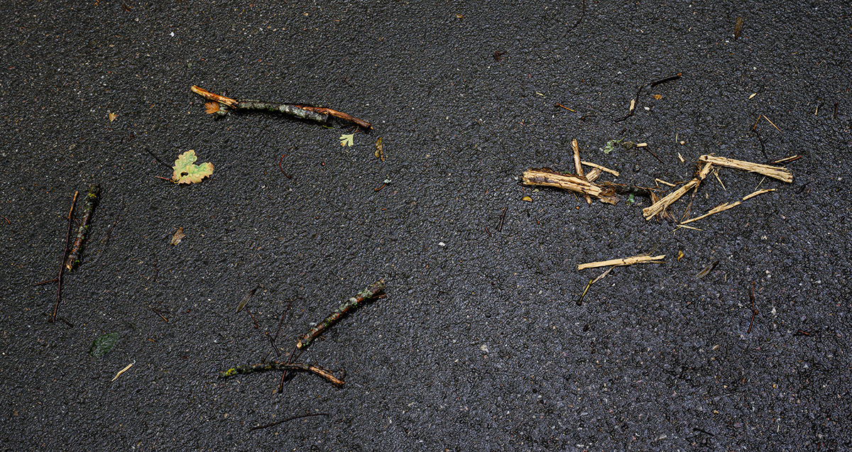 Holz.jpg
