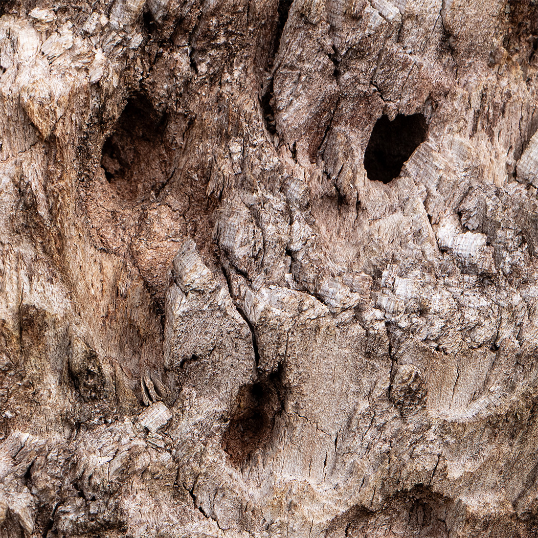Holz.jpg