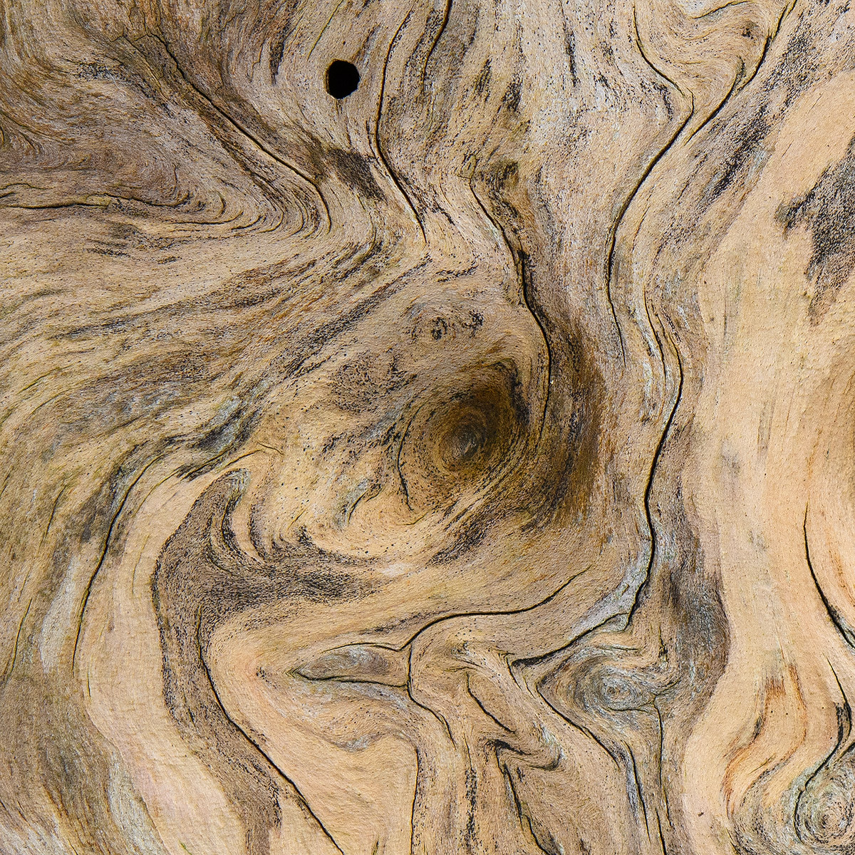 Holz.jpg