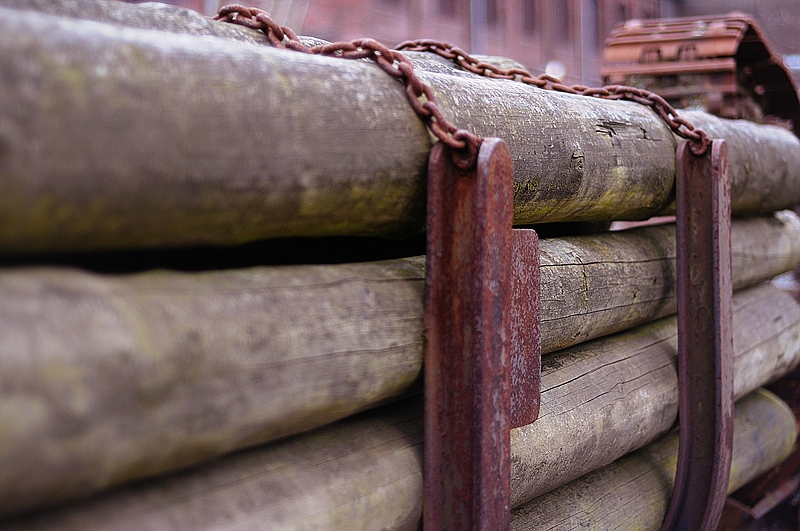 Holz vor der Hütte
D90
AF Nikkor 50mm F1.8D
(DSC 6041 kor klein)