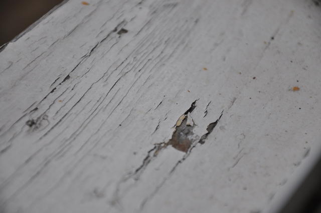 Holz!