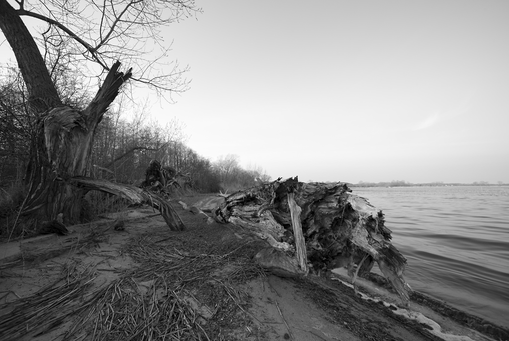 holz1