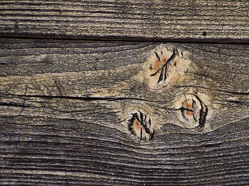 Holz1