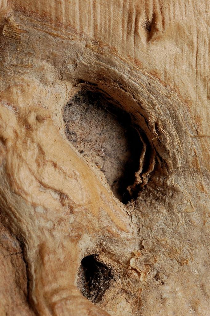 Holz2(c)R.Wolf Lemgo
