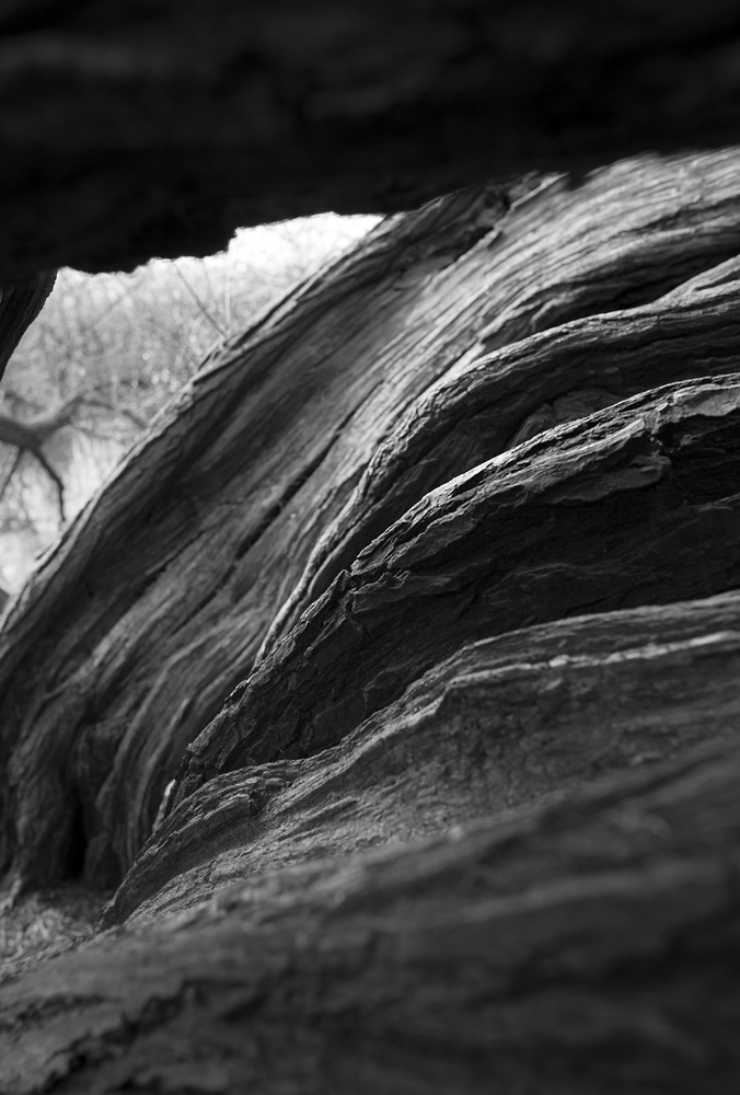 holz2