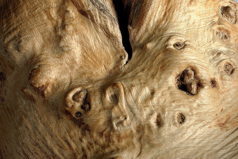 Holz3(c)R.Wolf Lemgo
