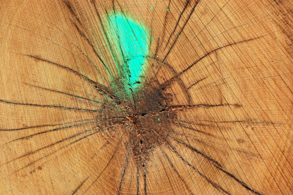 holz3