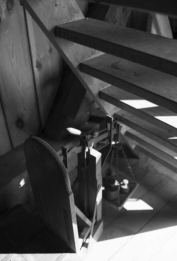 holz4