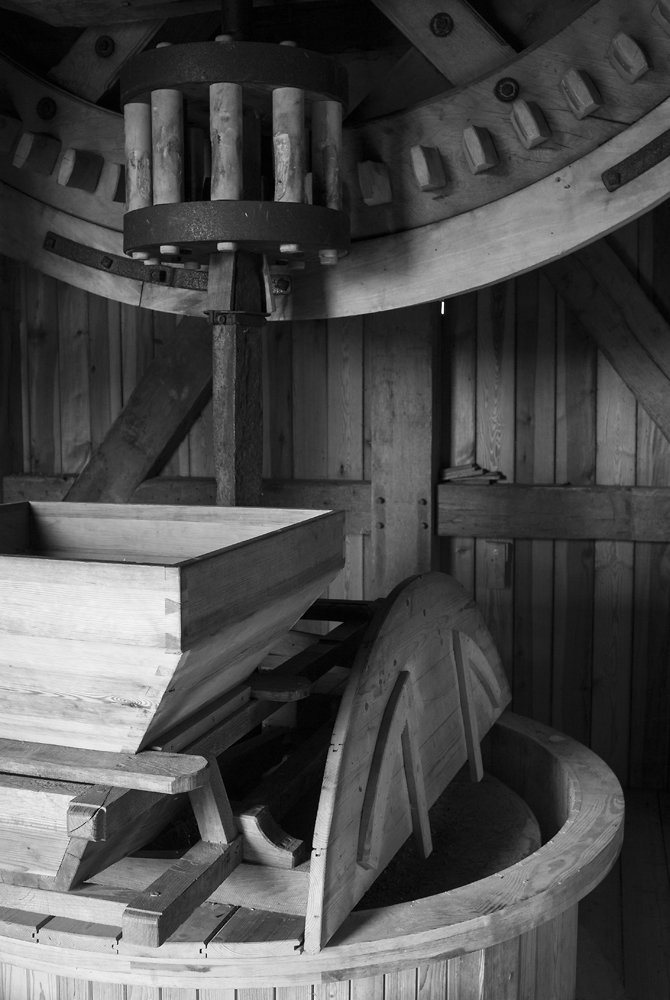 holz5