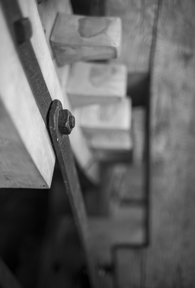 holz6