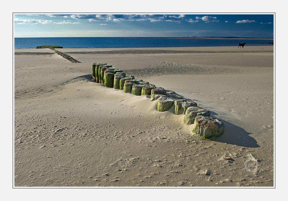 Holzbuhnenreste diagonal
