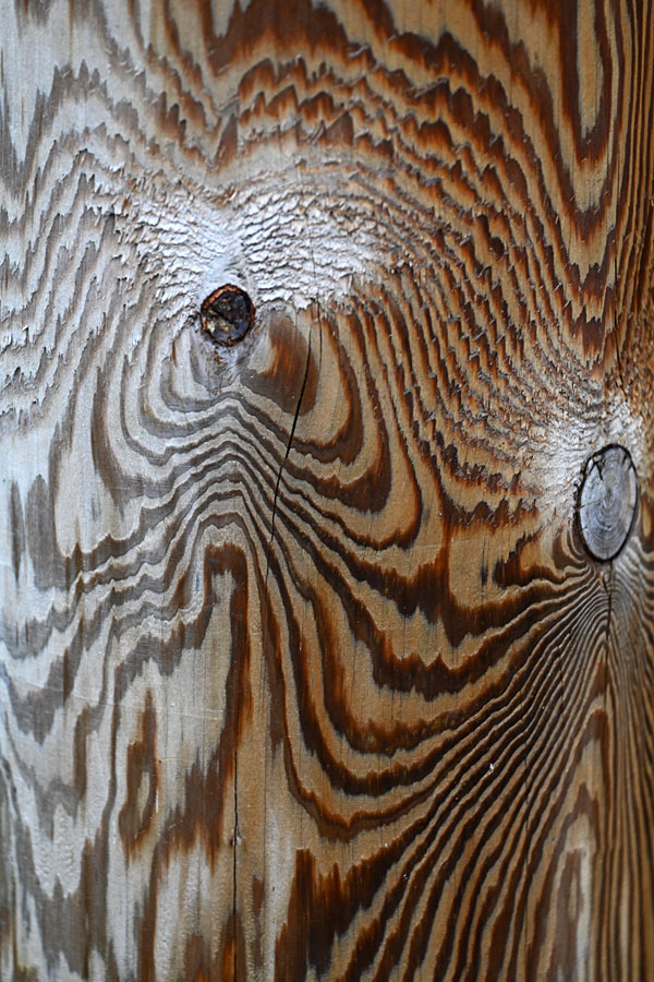 Holzgeist 2.jpg