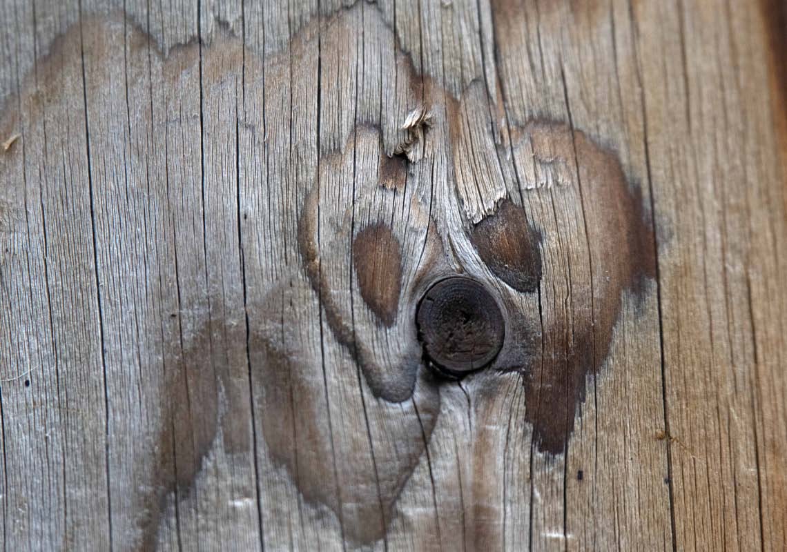 Holzgeist 3.jpg