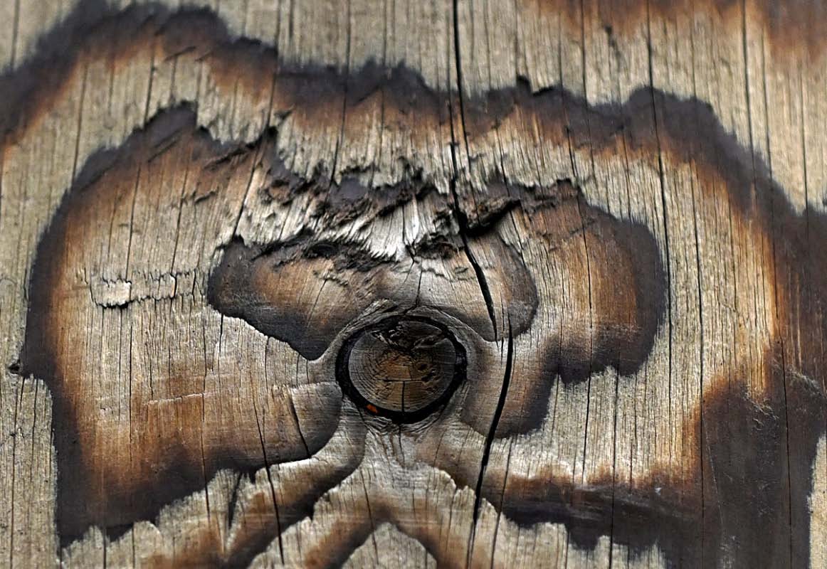 Holzgeist 4.jpg