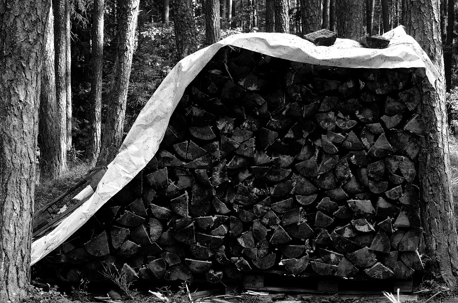 Holzstapel03