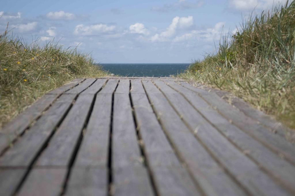 Holzsteg