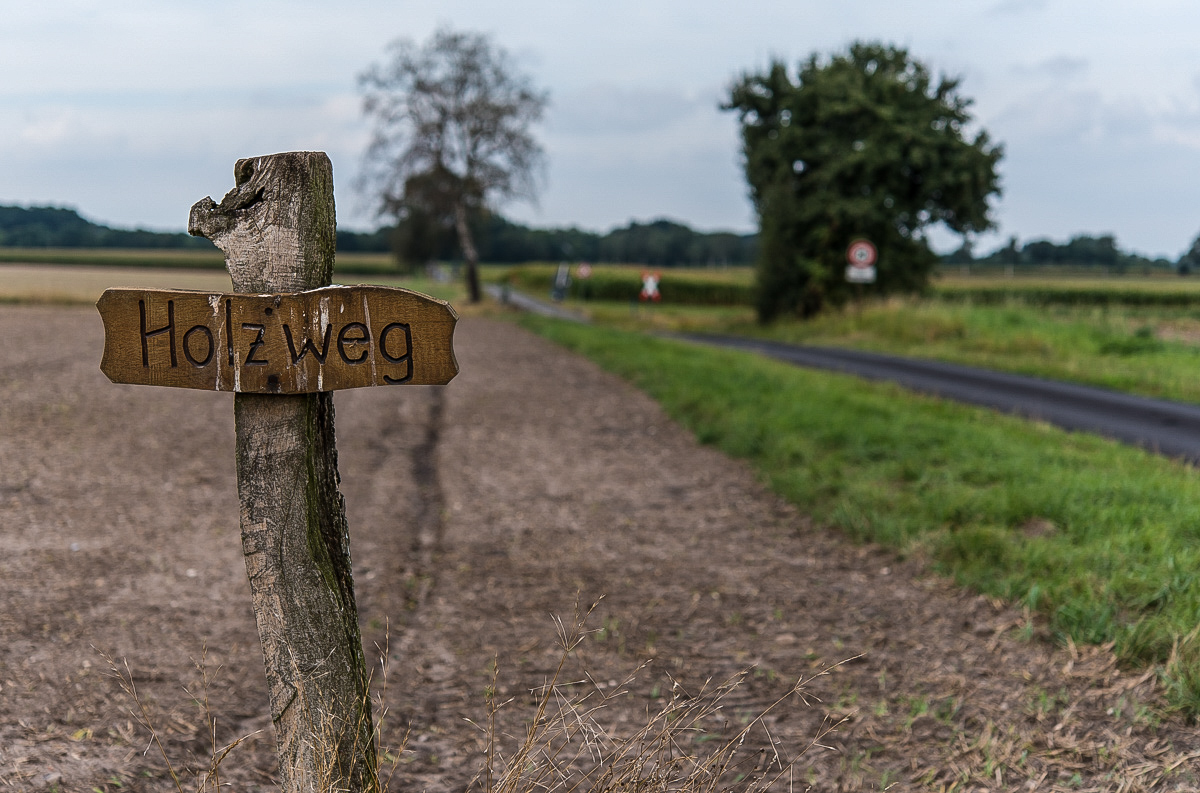 Holzweg (1 von 1).JPG