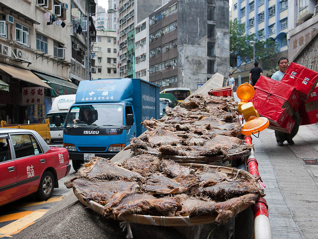 hong kong 25
