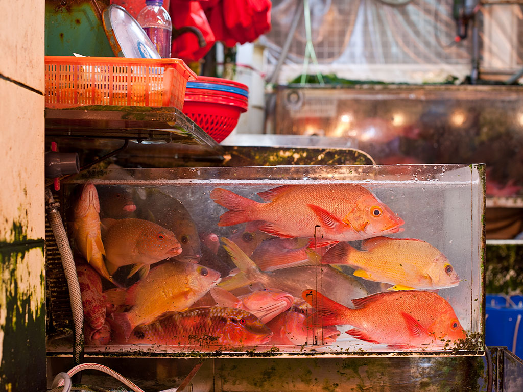 hong kong 34