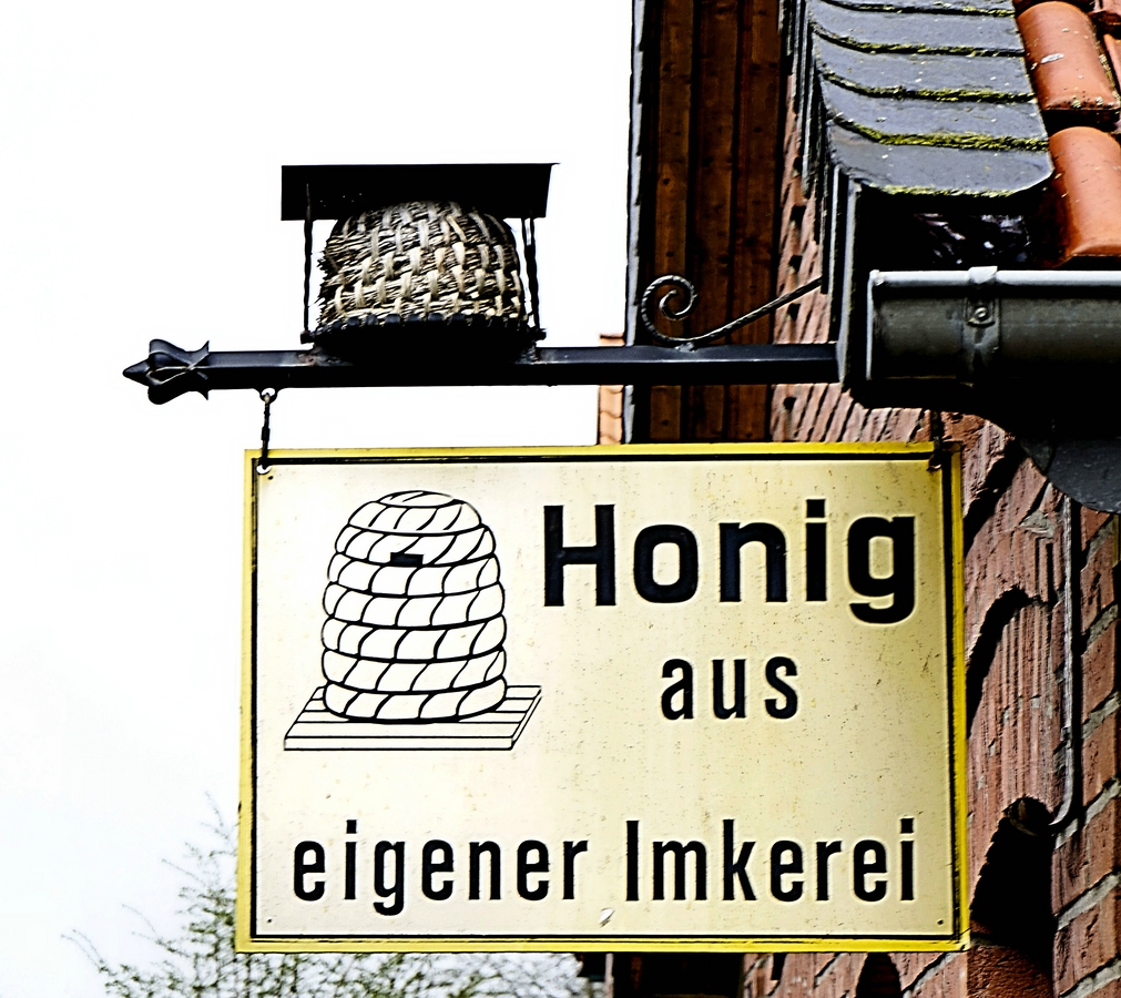 Honig DSC3861.jpg