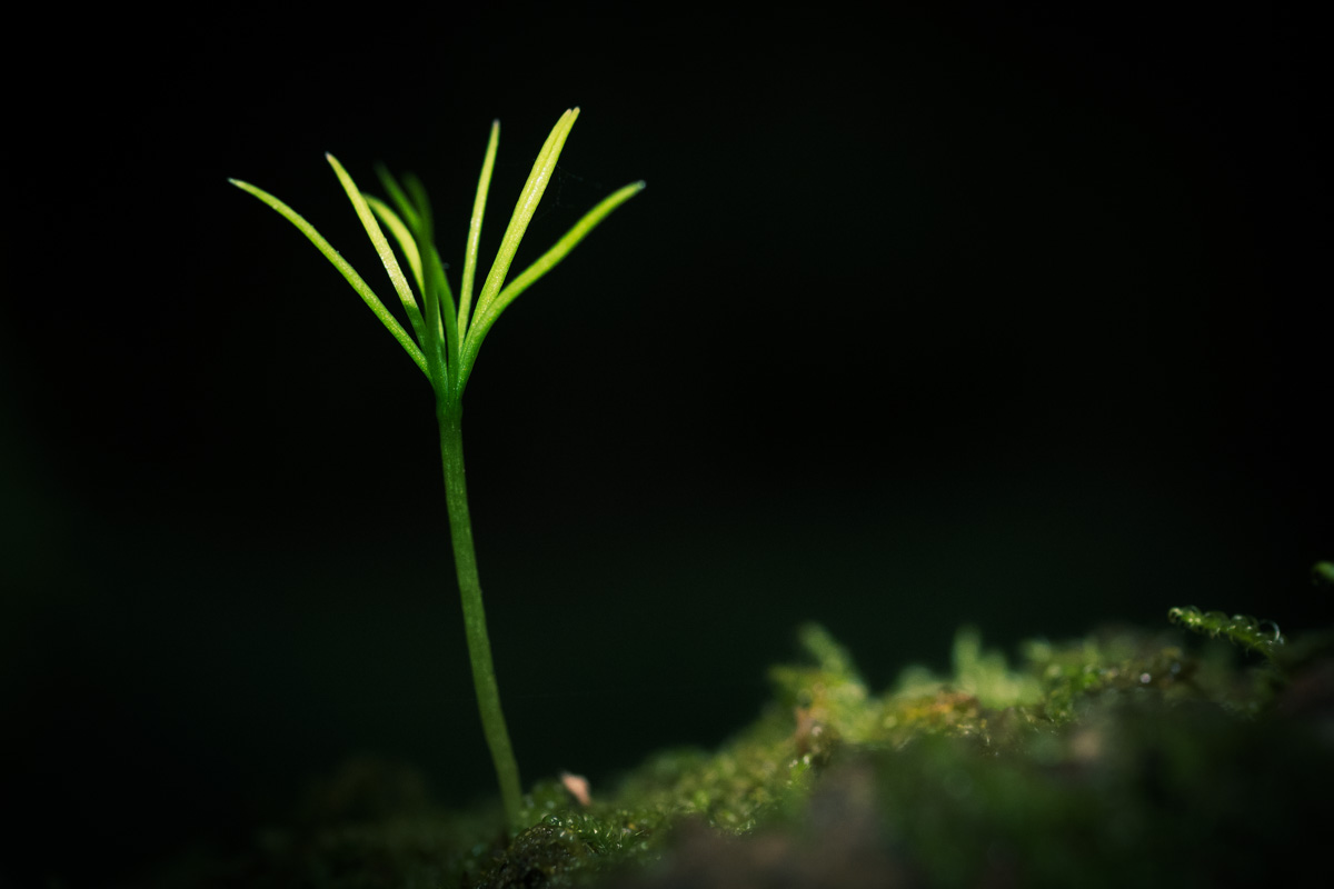 Hope