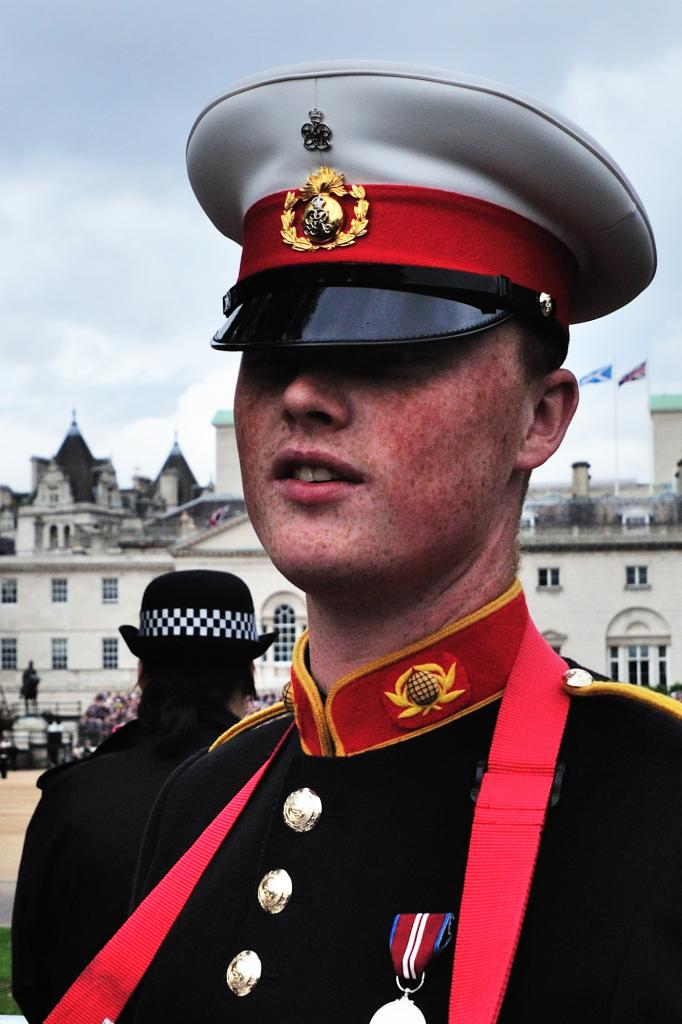 horse guard