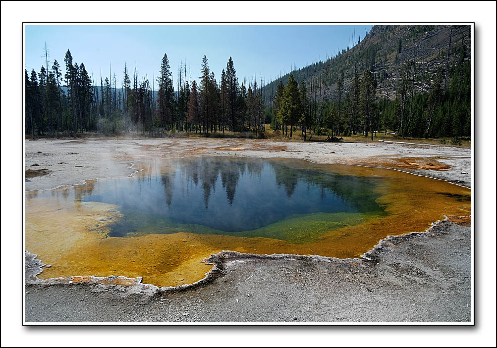 Hot Spring Yellowstone National Park