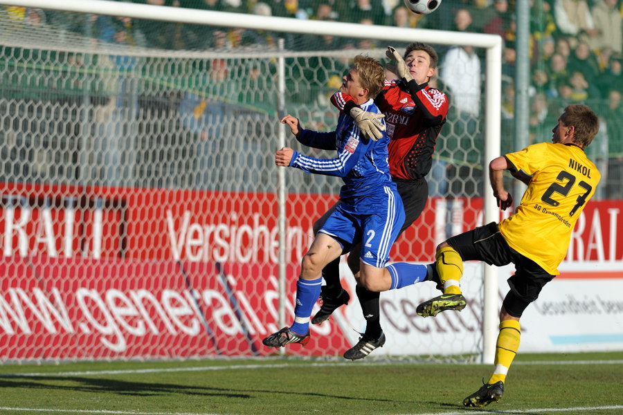 HP 20081123 143320U HACHING DRESDE