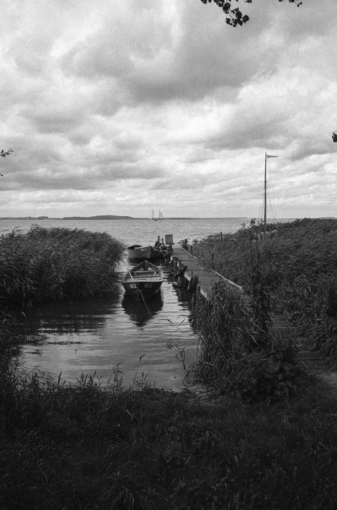 HP5, T-Max Entwickler