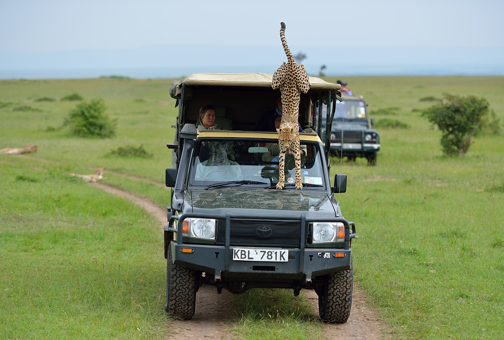 HS8 5361