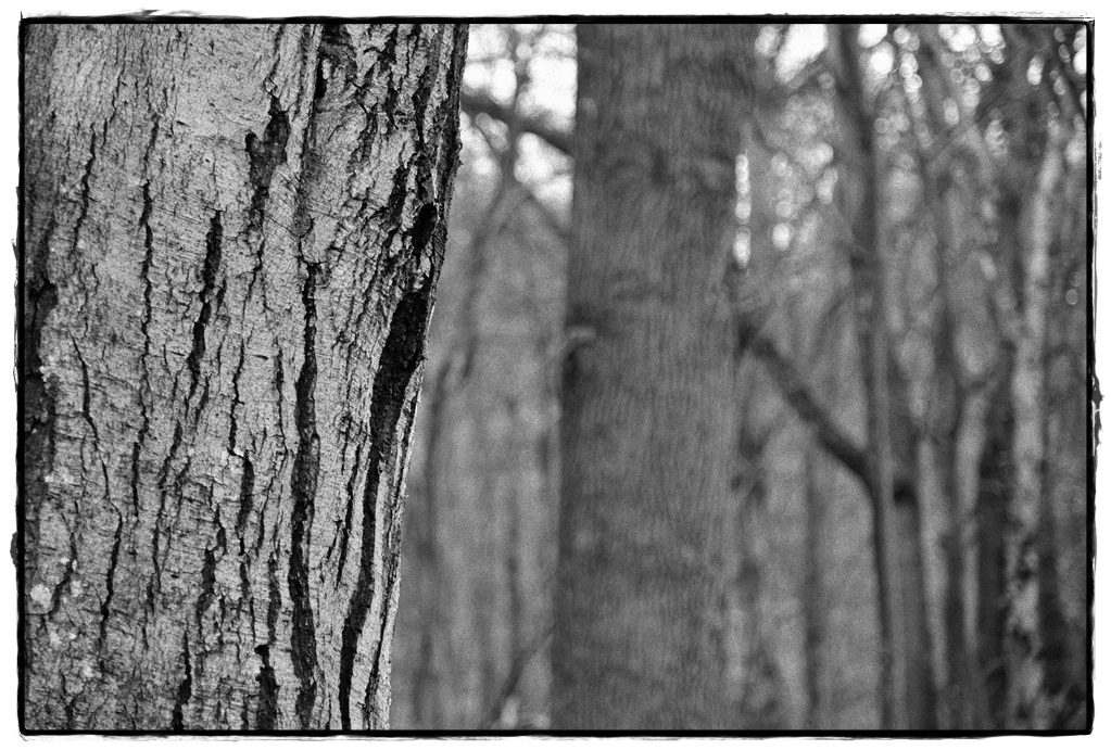 HST 1845 DxOFP ilford hps 800