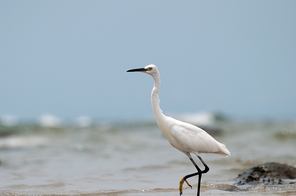 Hua Hin 10