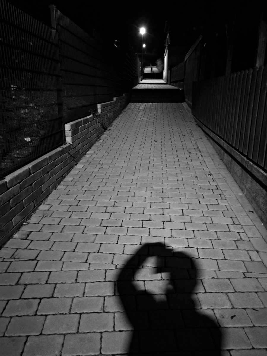 Huawei P9 Mono 04