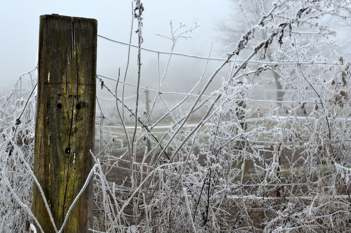 huch frost 2017