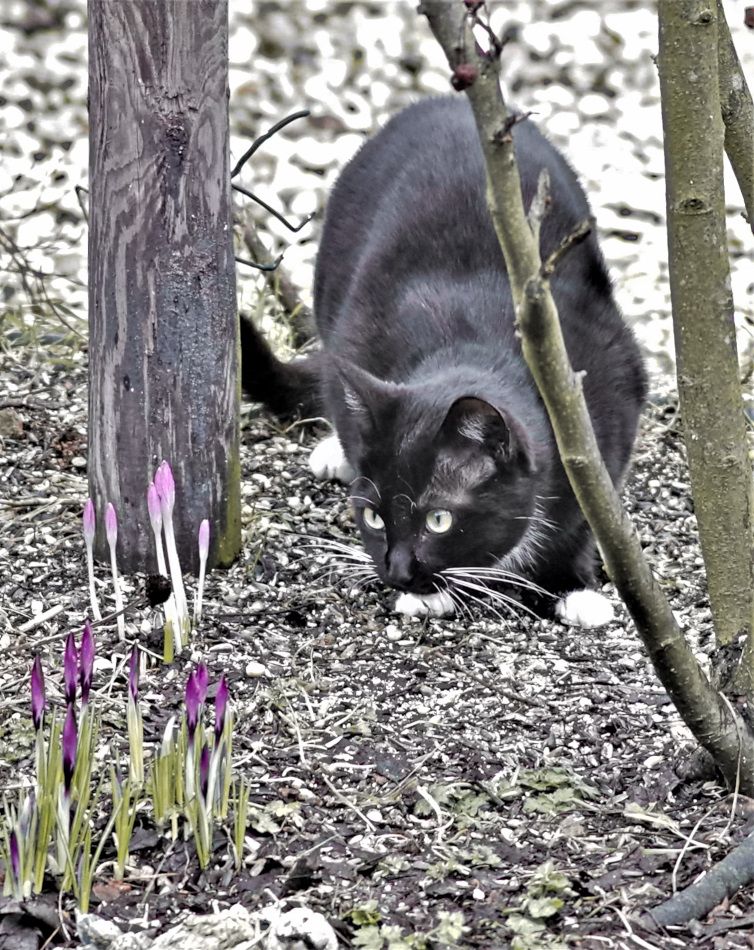 Huch ... sonst liegt da nur Vogelfutter ....jpg
